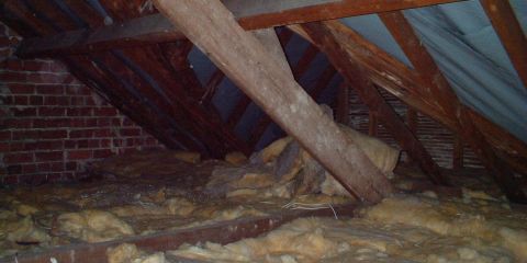 Is your loft suitable?