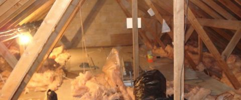 The Loft Starts The Loft Starts